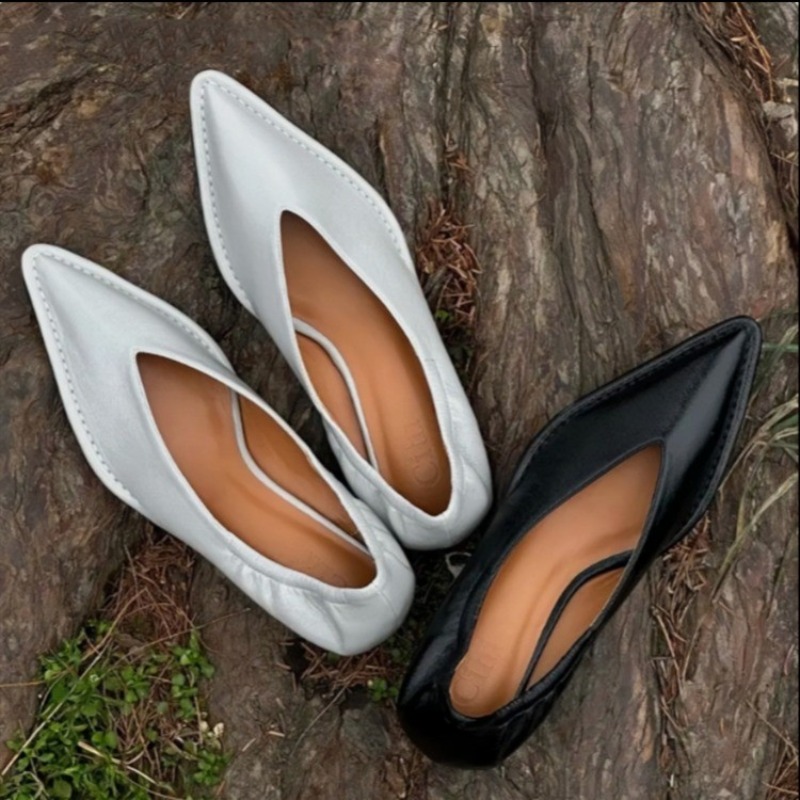 2025 New Pointed Toe Single Sh - Women Fashion Trend 2025 评论和价格